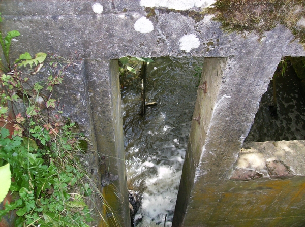 Aaigem Augustus 2012 015