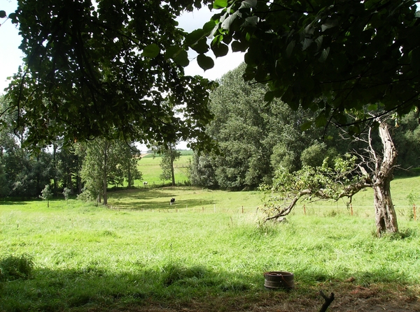 Aaigem Augustus 2012 016