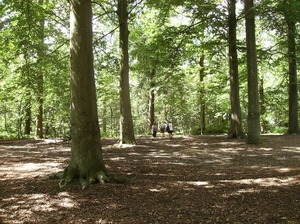 Aaigem Augustus 2012 018