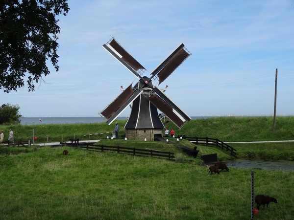 DSC00300
