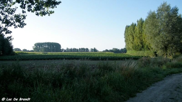 2012_08_19 Opwijk 06