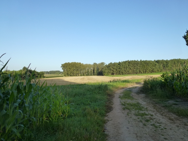 2012-08-19 Boutersem 003