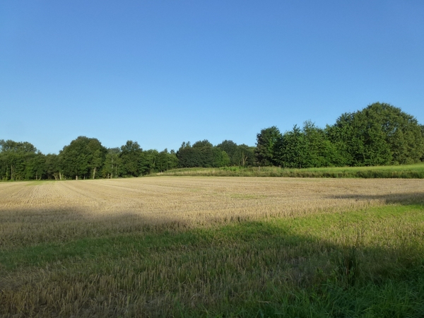 2012-08-19 Boutersem 005