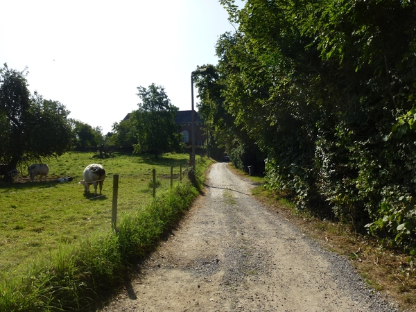 2012-08-19 Boutersem 013