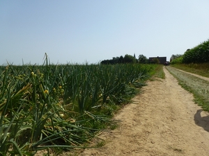 2012-08-19 Opwijk 003