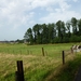 2012-08-19 Opwijk 010