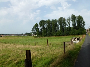 2012-08-19 Opwijk 010