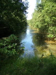 2012-08-12 KKT verk Antw. Kempen 026