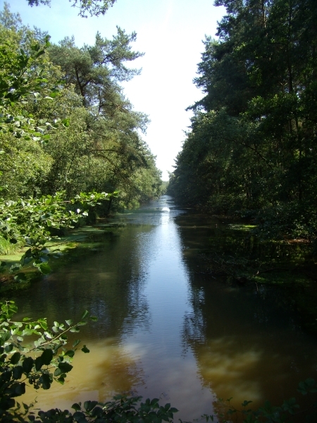 2012-08-12 KKT verk Antw. Kempen 028