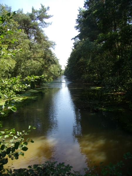 2012-08-12 KKT verk Antw. Kempen 029