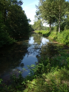 2012-08-12 KKT verk Antw. Kempen 030