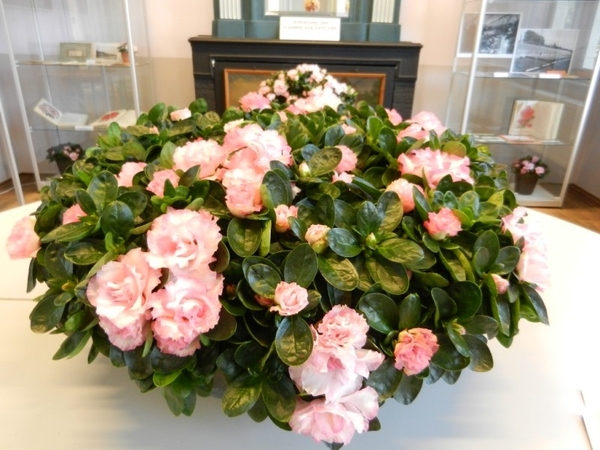 20120812.LochristiSierteelt 024