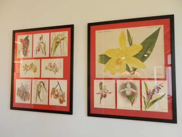 20120812.LochristiSierteelt 030