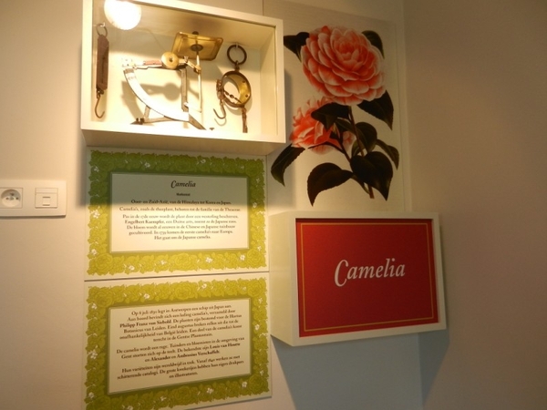 20120812.LochristiSierteelt 036