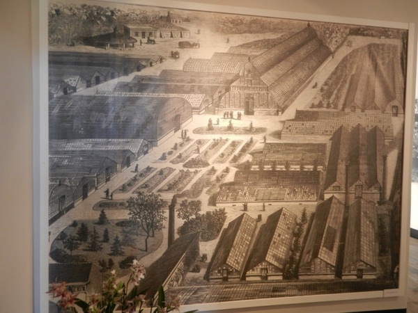 20120812.LochristiSierteelt 037