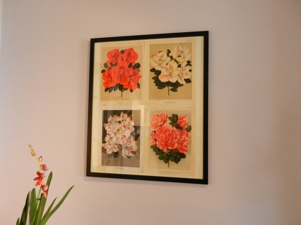 20120812.LochristiSierteelt 045