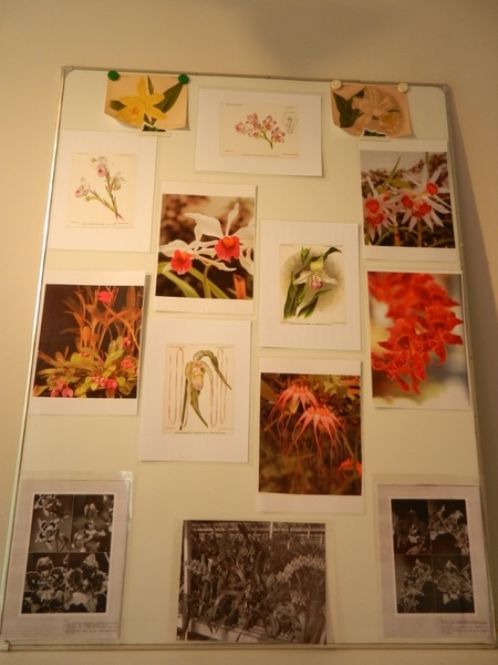 20120812.LochristiSierteelt 051