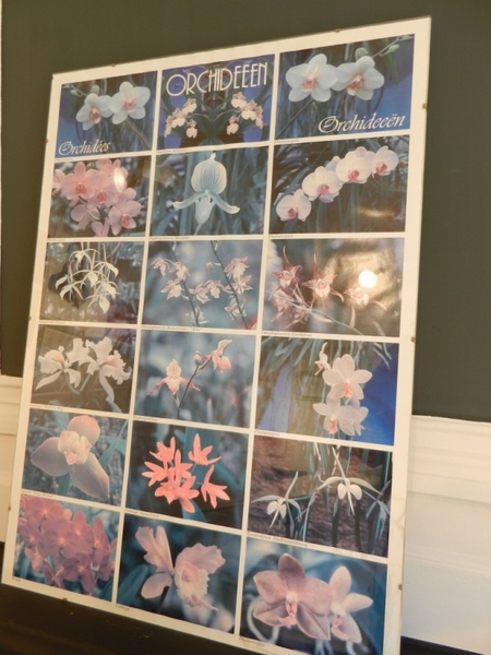 20120812.LochristiSierteelt 060