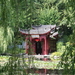 Chinese tuin 3