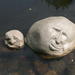 Levende stenen