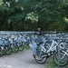 Gratis fietsen...