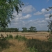 De Hoge Veluwe