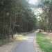 Fietspad