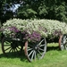 Ootmarsum