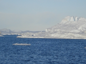 Groenland 2 145