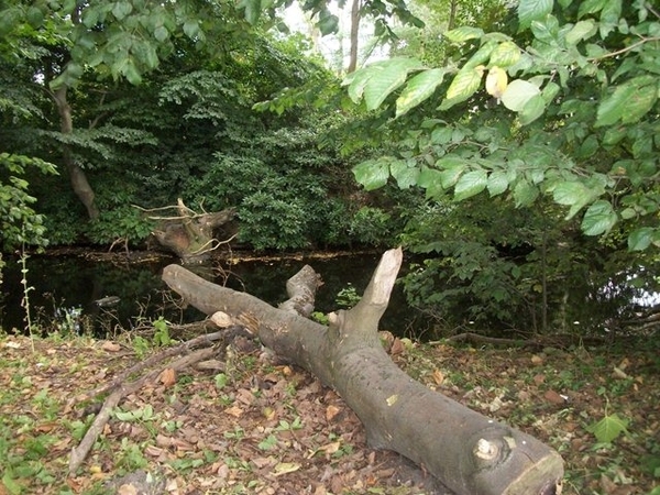 067-Kasteel omgeven door grachten