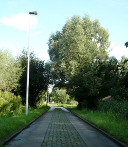 H05_P1250082_2012_08_05_AntwerpenZeetje_Onderweg_GeenKasseien