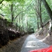 i11_P1250204_2012_08_15_Asse_Speurtocht_RustigeBosWeggeltjes