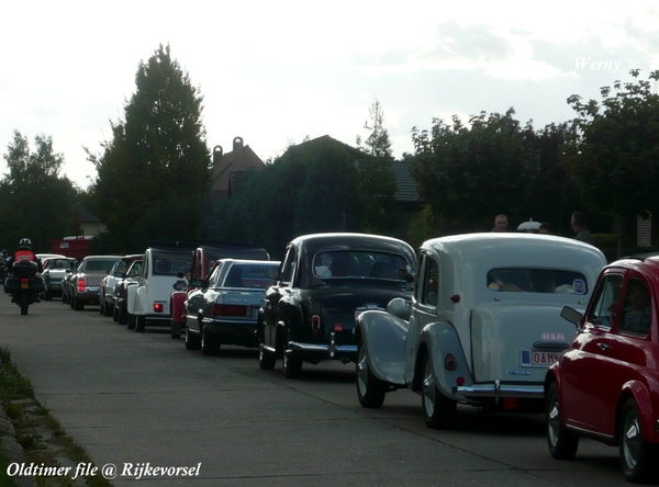 75_Zandbergrun2009_Rijkevorsel_P1060965