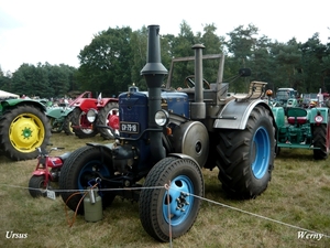 30_Weelde_Ursus_P1060498