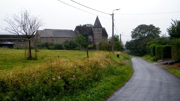 marche adeps wandeling arbre wallonie