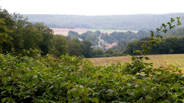 marche adeps wandeling arbre wallonie