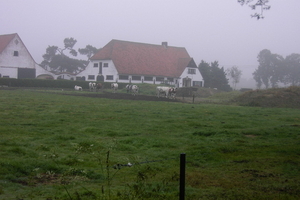 Wandelen in Zoersel 009