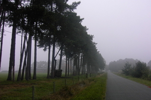 Wandelen in Zoersel 007