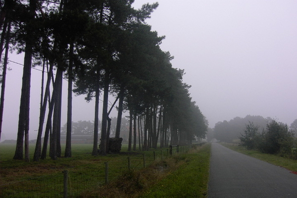 Wandelen in Zoersel 007