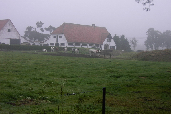 Wandelen in Zoersel 009