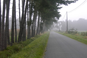 Wandelen in Zoersel 010