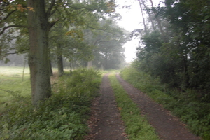 Wandelen in Zoersel 011