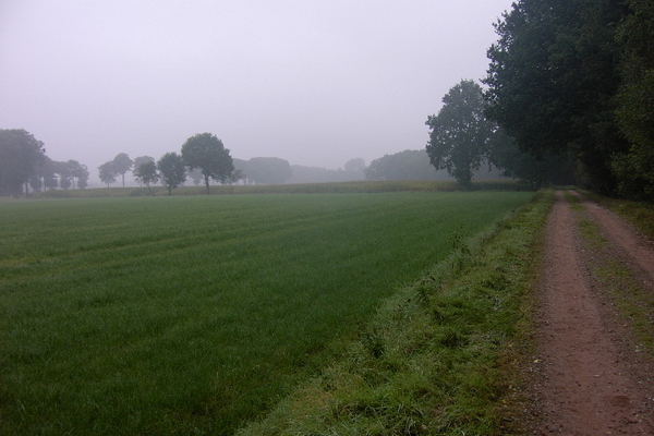 Wandelen in Zoersel 015