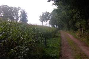 Wandelen in Zoersel 017