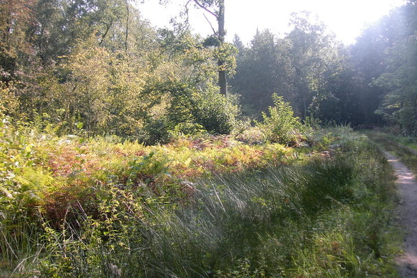 Wandelen in Zoersel 028