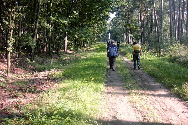 Wandelen in Zoersel 026