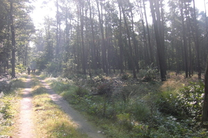 Wandelen in Zoersel 027