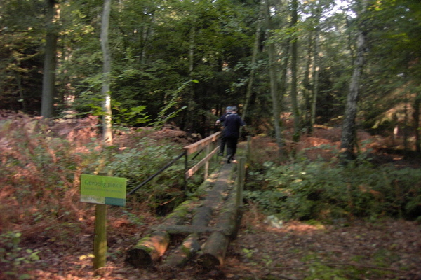 Wandelen in Zoersel 029