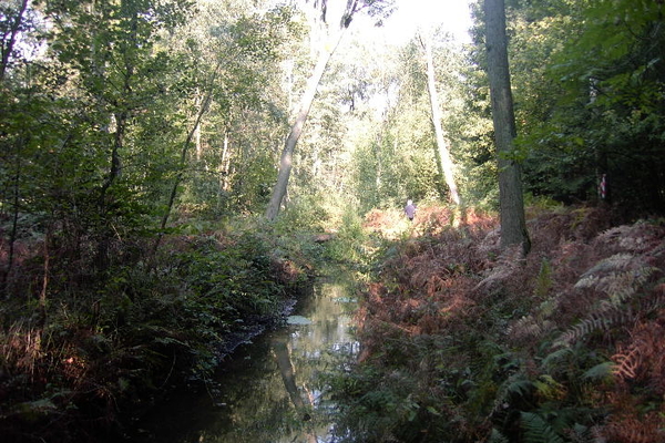 Wandelen in Zoersel 030