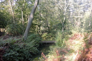 Wandelen in Zoersel 031